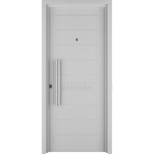 Puerta de chapa inyectada Atex